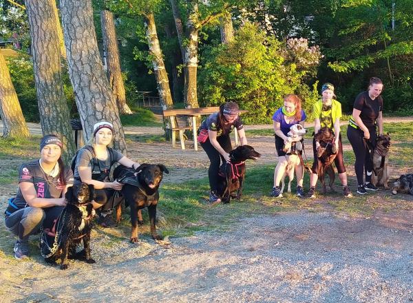 Písek: Začni s canicrossem s Alčou