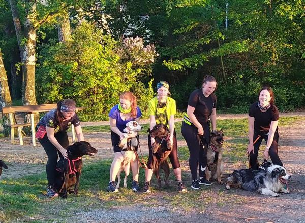 Benešov: Začni s canicrossem s Jardou - podzim
